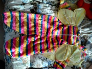 Vestito carnevale farfalla