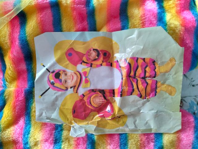 Vestito carnevale farfalla