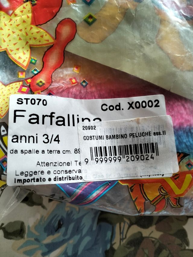 Vestito carnevale farfalla