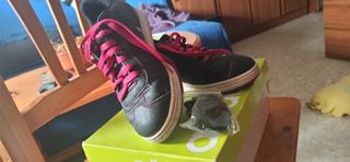 Zapatos Adidas Basket