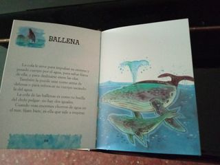 Adivinanzas para antes de dormir