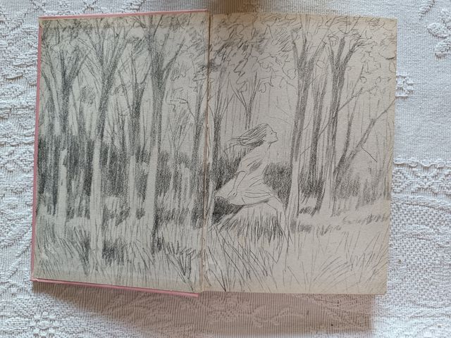 Rosa e i suoi cugini