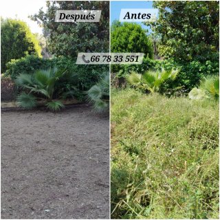 limpieza de huertos