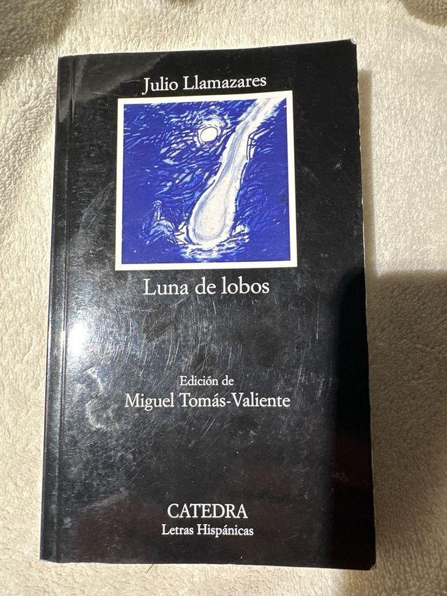 Luna de Lobos. 97884376256700643