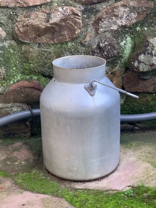 perola de leche pequeña