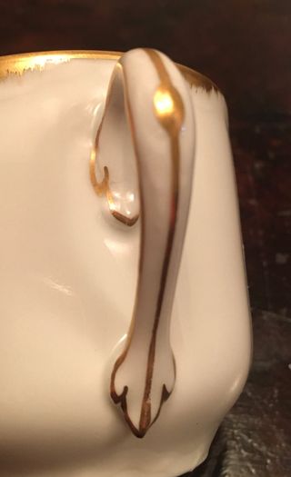 12 tazzine da caffè in porcella ginori