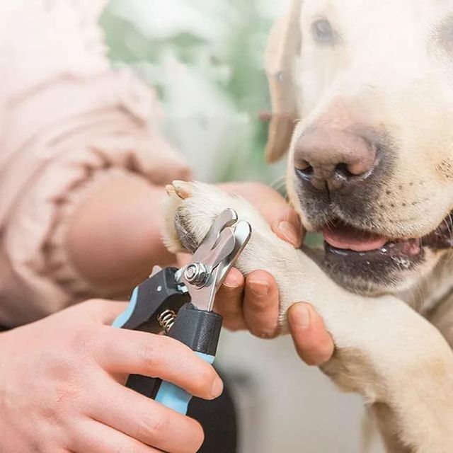 Cortauñas para perros, gatos y conejos. NUEVO