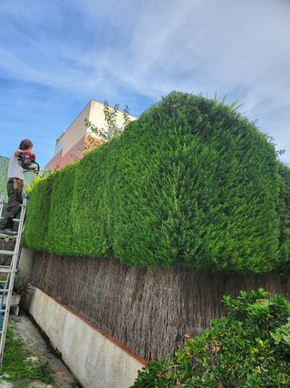 Mantenimiento comunidades