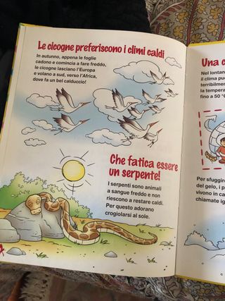 2 libri winnie the pooh