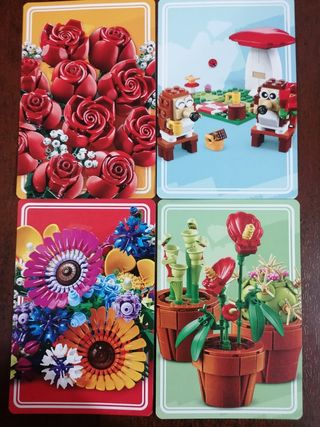 Set Lego Limited Edition più biglietti S. Valentin