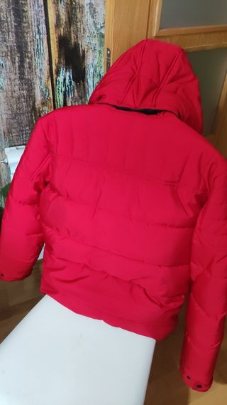 Plumas rojo hombre