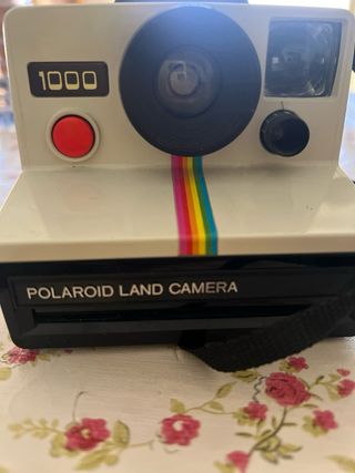 camara polaroid antigua