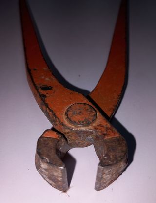 Tenazas rusa palmera