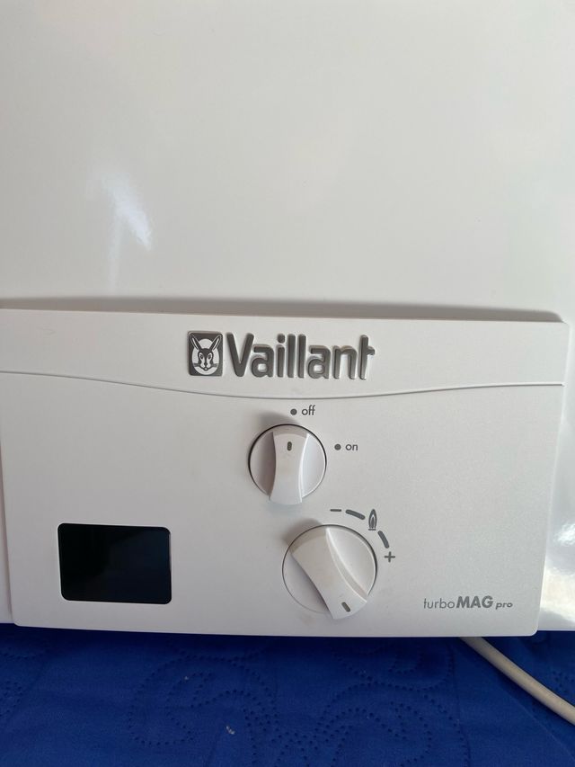 Calentador Gas Natural Vaillant