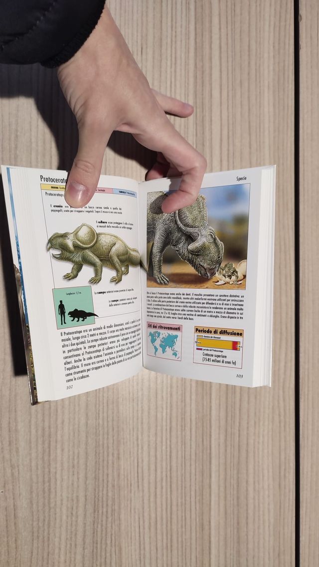 Libro Dinosauri