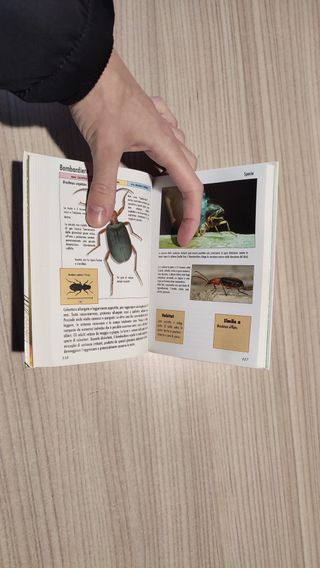 libro Insetti