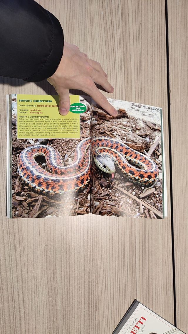 libro Ragni e Serpenti