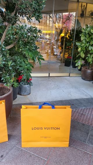 Bolsa y sobre louis vuitton