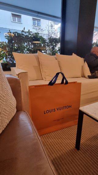 Bolsa y sobre louis vuitton