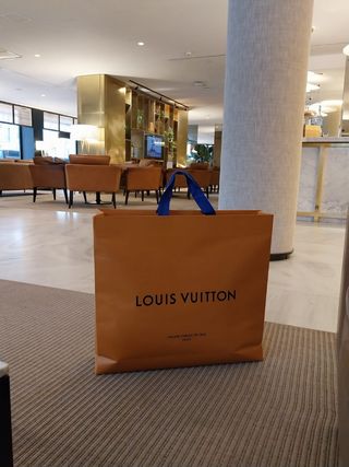 Bolsa y sobre louis vuitton