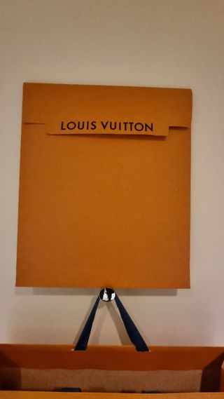 Bolsa y sobre louis vuitton