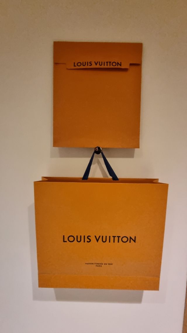 Bolsa y sobre louis vuitton