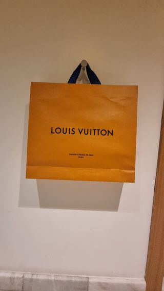 Bolsa y sobre louis vuitton