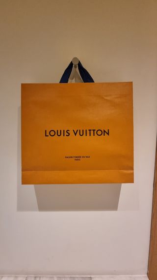 Bolsa y sobre louis vuitton