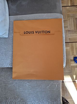 Bolsa y sobre louis vuitton