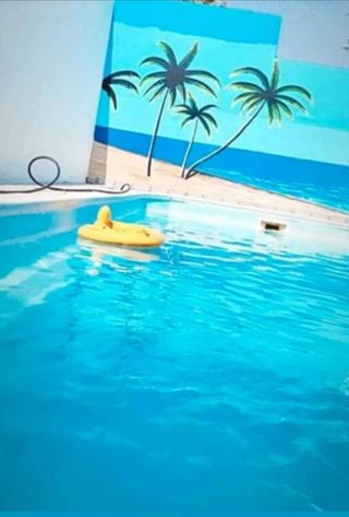 Pintores todo en pintura y decoración