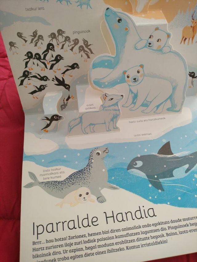 Libro euskera Animaliak