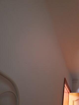 Necesito pintor