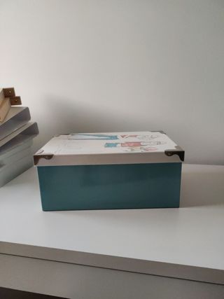 CAJA ORGANIZADORA