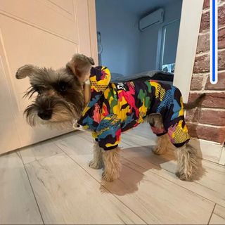 Tuta per cani impermeabile tg  XXL misura cm 38