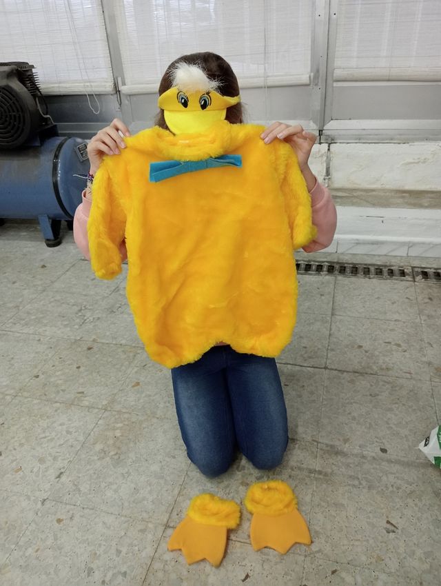 Disfraz pollito infantil