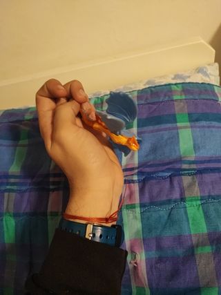 drago dragon trainer