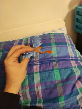 drago dragon trainer