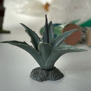 navidad / cactus agave