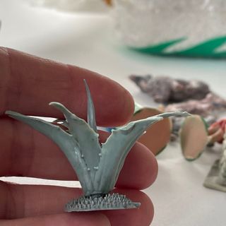 navidad / cactus agave