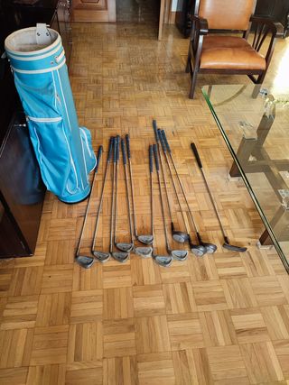 Juego completo palos de golf