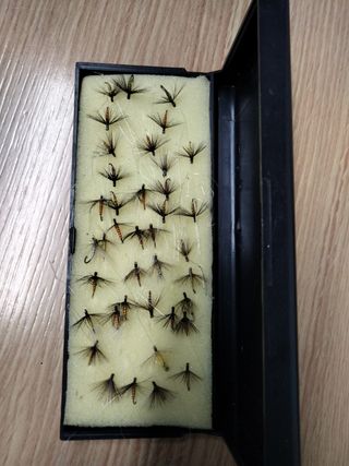 39 Moscas secas para pescar 
