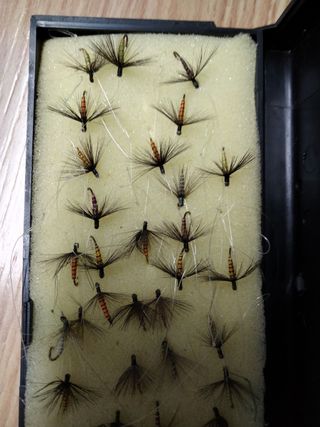 39 Moscas secas para pescar 