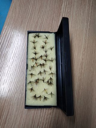 39 Moscas secas para pescar 