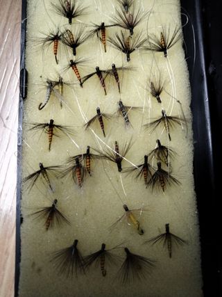 39 Moscas secas para pescar 
