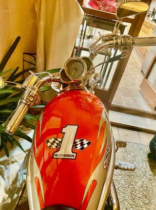 Harley Davidson vrscx