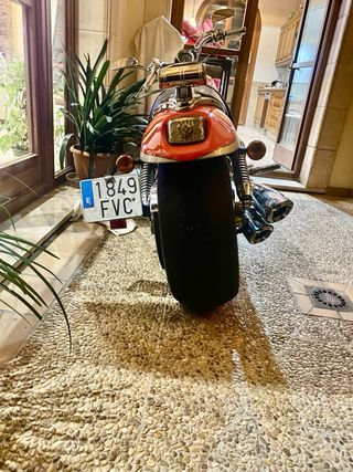 Harley Davidson vrscx