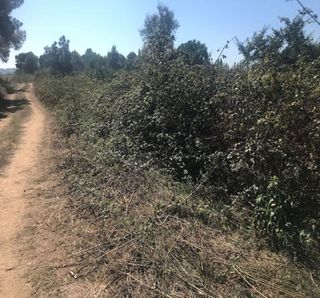 Terreno en venta en Mas Mora - Sant Daniel en Tordera