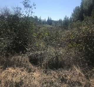 Terreno en venta en Mas Mora - Sant Daniel en Tordera