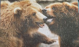 Puzzle animali