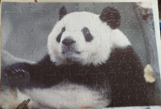 Puzzle animali